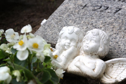 Friedhof Nusse - Copyright: Ev.-Luth. Kirchenkreis Lübeck-Lauenburg Friedhof Nusse - Copyright: Ev.-Luth. Kirchenkreis Lübeck-Lauenburg